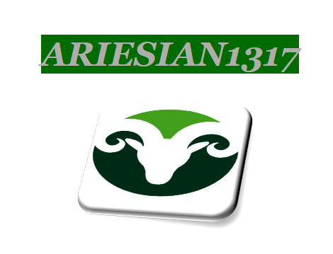 Ariesian1317